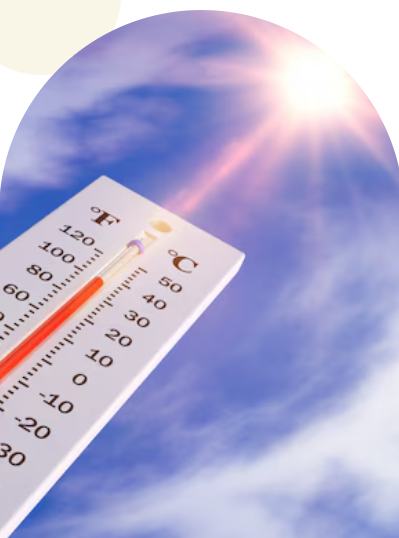 Stay Hydrated in the Heat: Your Guide to Beating Summer Dehydration